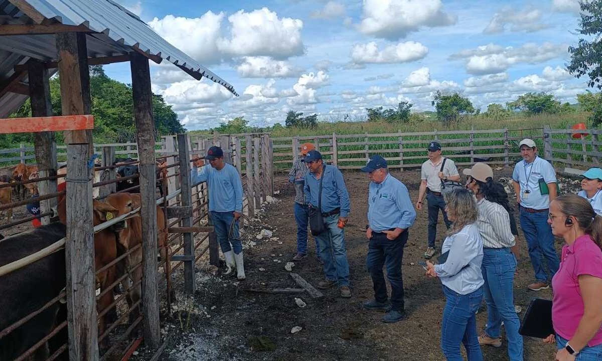 Respalda el Gobierno de Quintana Roo medidas para fortalecer la sanidad ganadera.