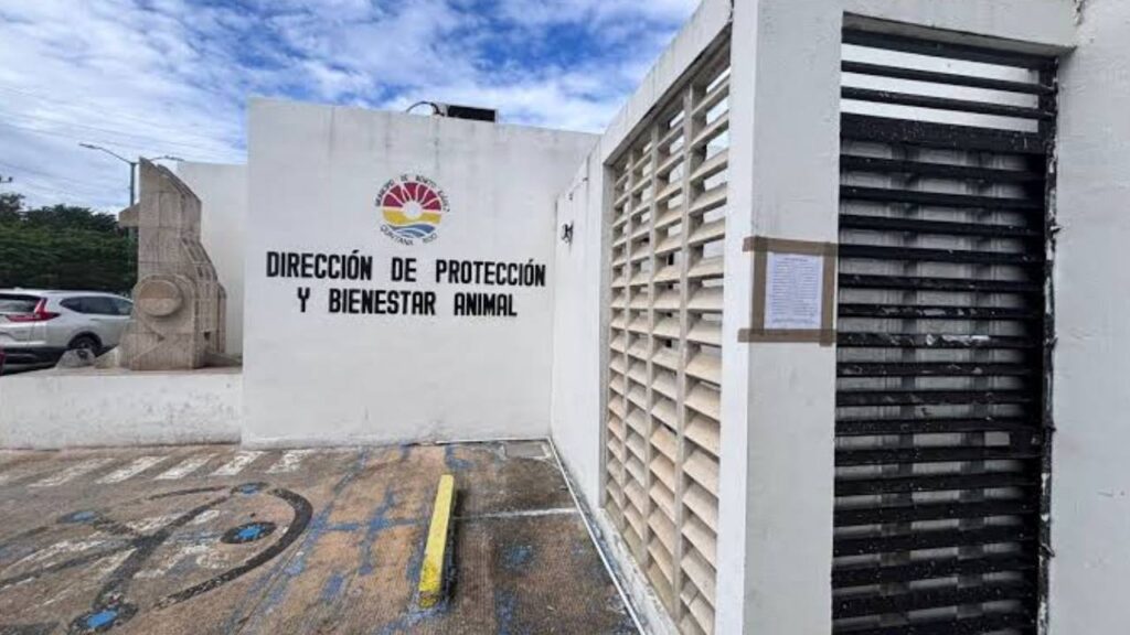 Centro de Bienestar Animal de Benito Juárez.