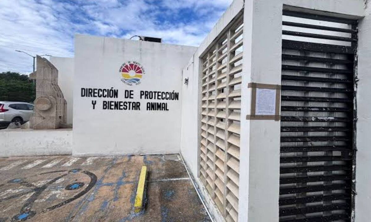 Centro de Bienestar Animal de Benito Juárez.