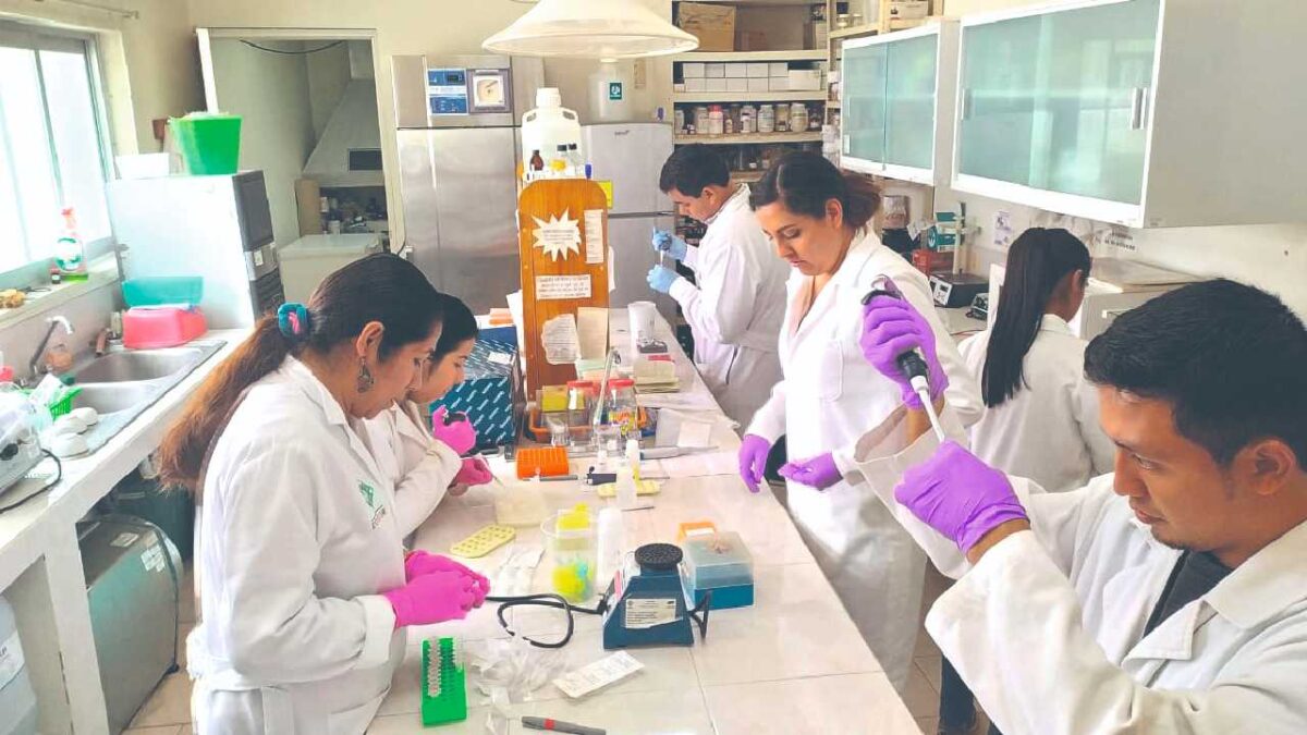 Acusan que hacienda frena la investigación científica.