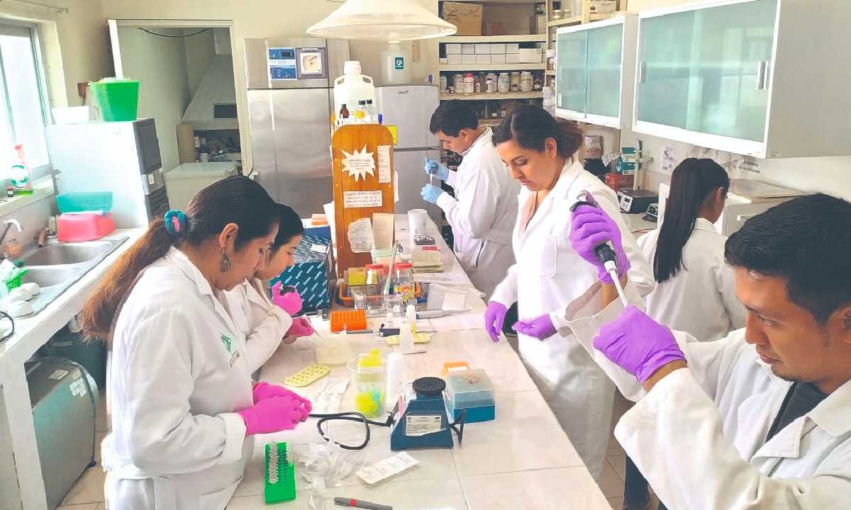 Acusan que hacienda frena la investigación científica.