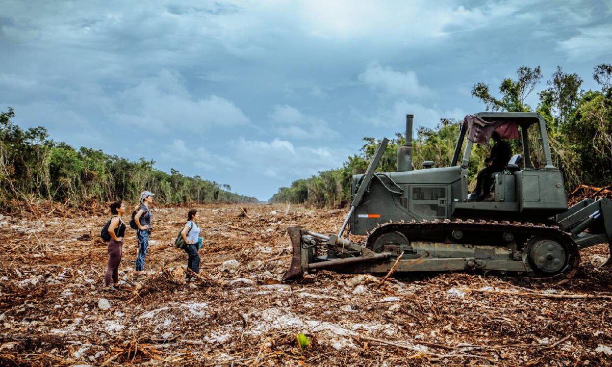 Ecocidio del Tren Maya