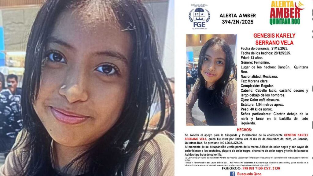 Ficha de búsqueda de otra menor.