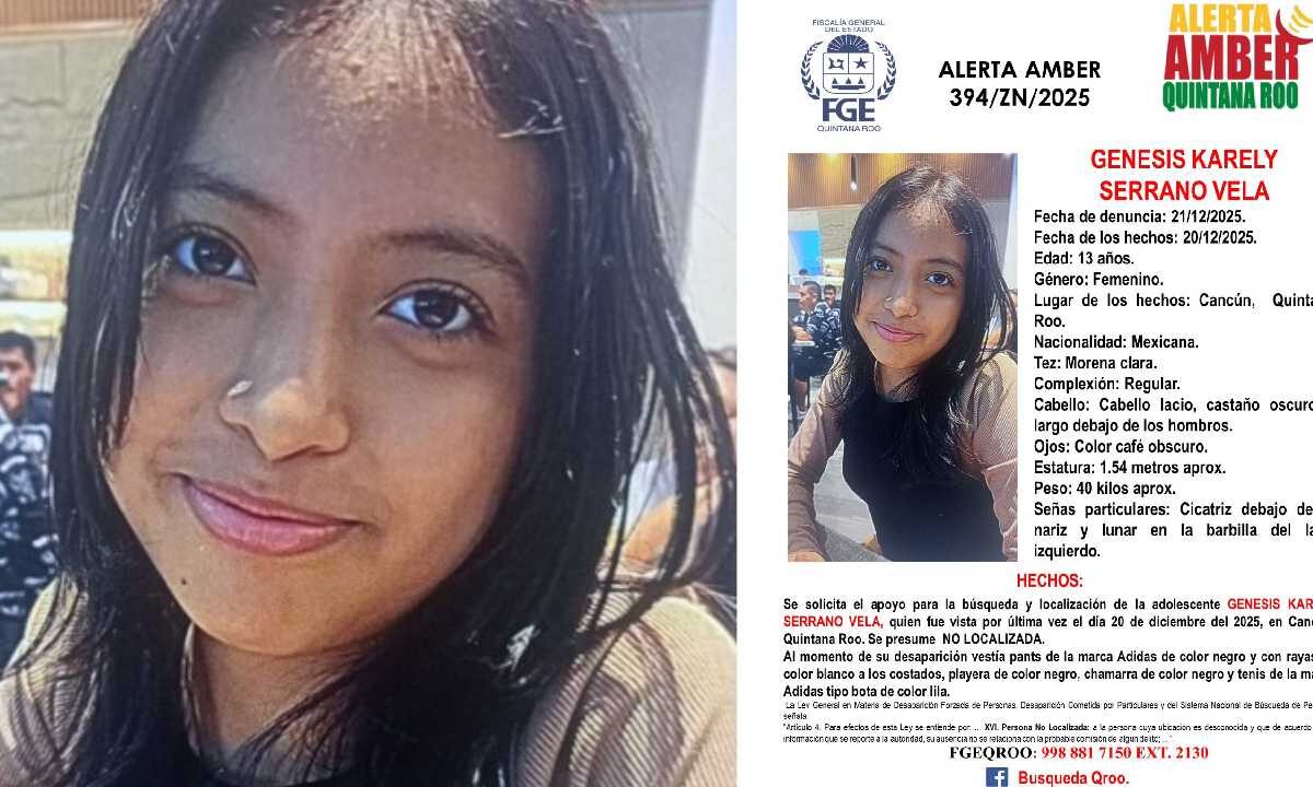 Ficha de búsqueda de otra menor.