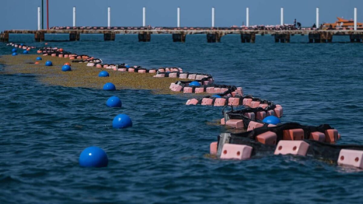 Sargazo en Quintana Roo