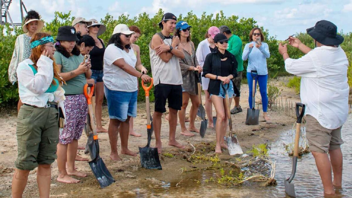 Cozumel y el medio ambiente.