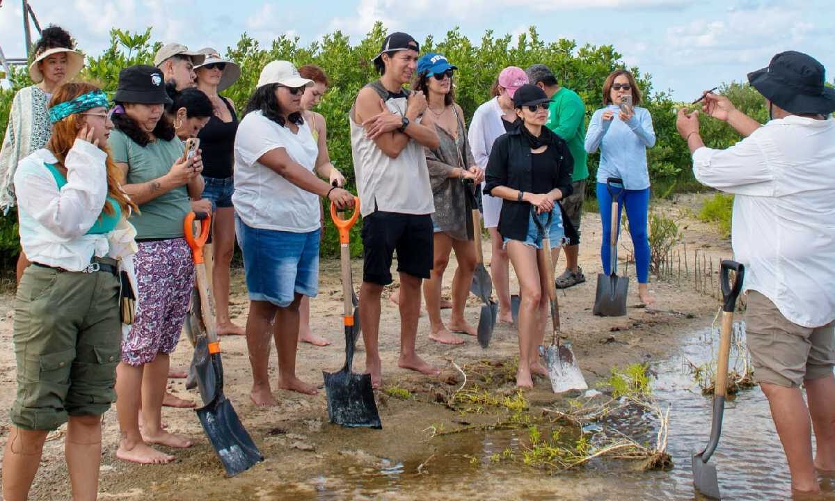Cozumel y el medio ambiente.