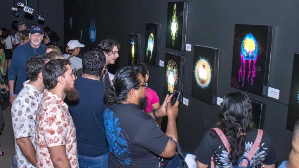 Blackwater Cozumel ya abrió sus puertas.