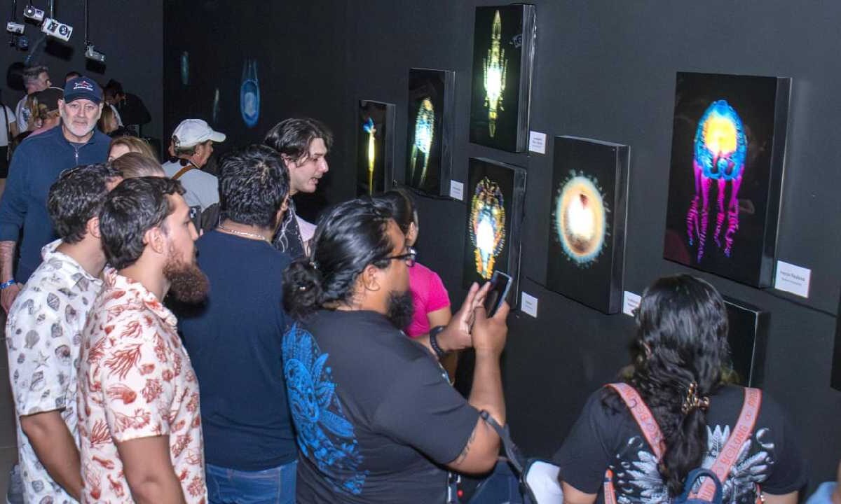 Blackwater Cozumel ya abrió sus puertas.