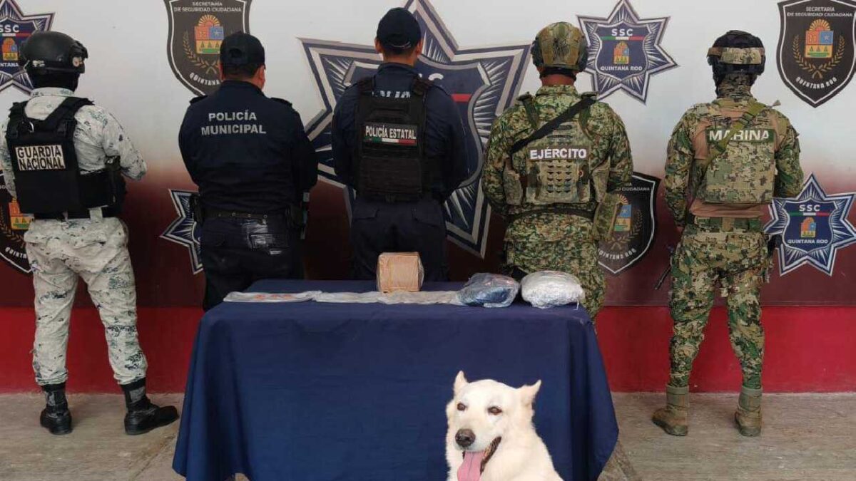 La droga estaba en una maleta.