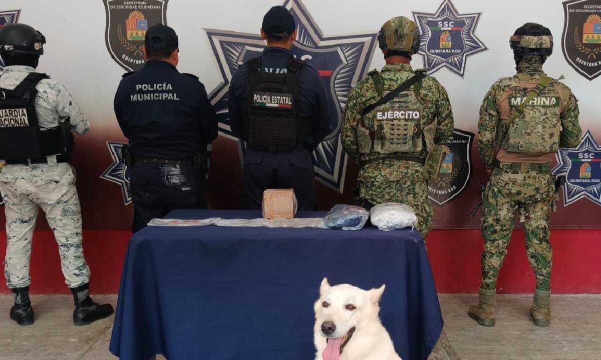 La droga estaba en una maleta.