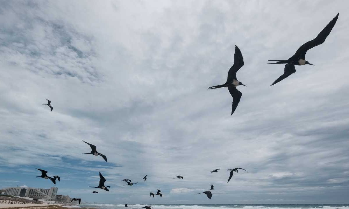 Prevén día caluroso.