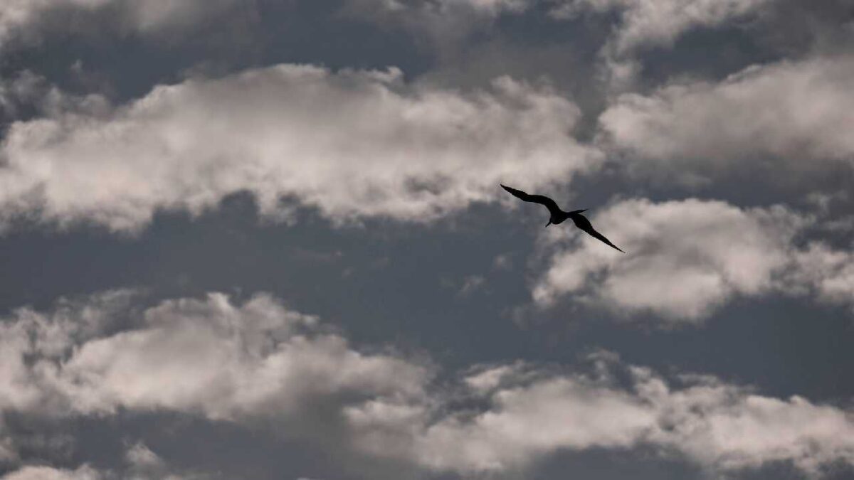 Clima en Quintana Roo será caluroso con nublados y fresco.