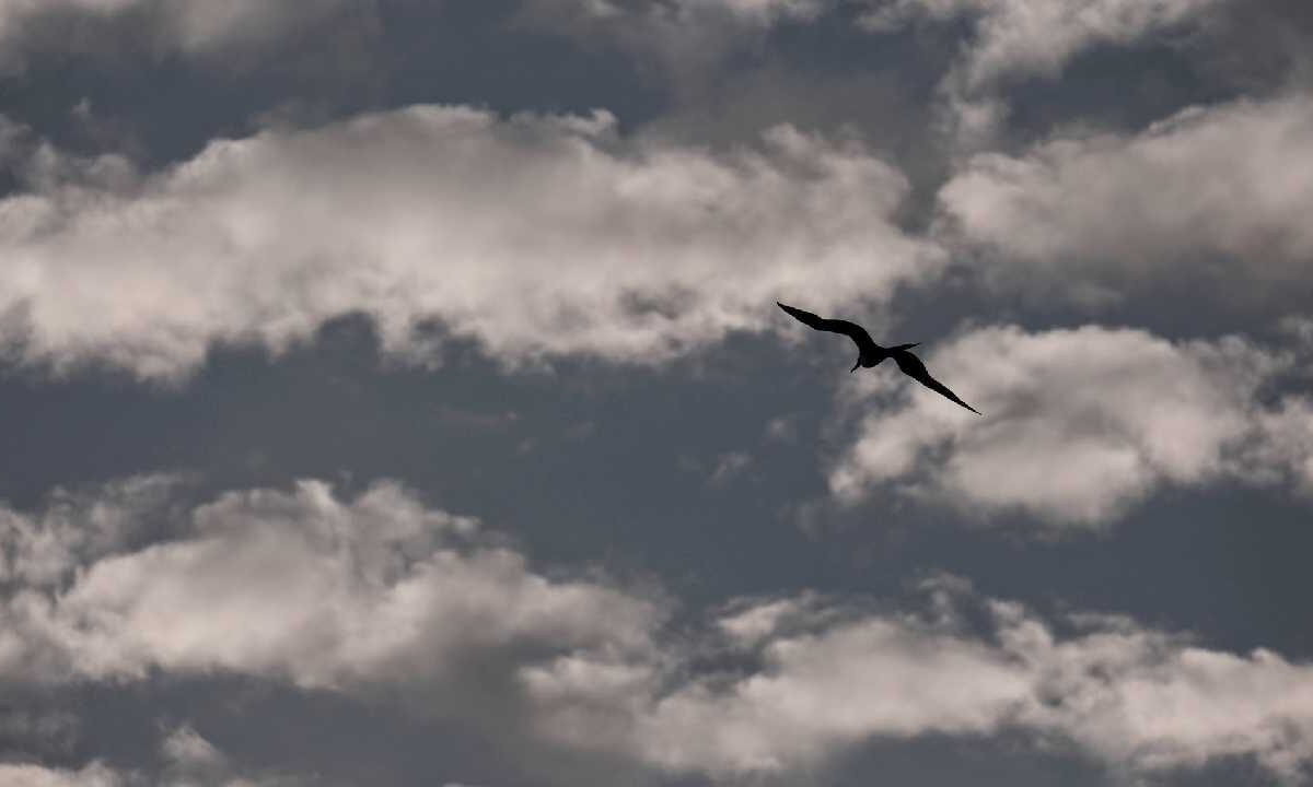 Clima en Quintana Roo será caluroso con nublados y fresco.