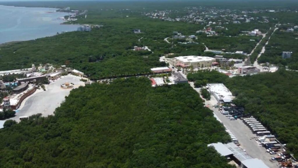 Jueza federal frena cambios de uso de suelo ligados al megaproyecto “Perfect Day” en Mahahual