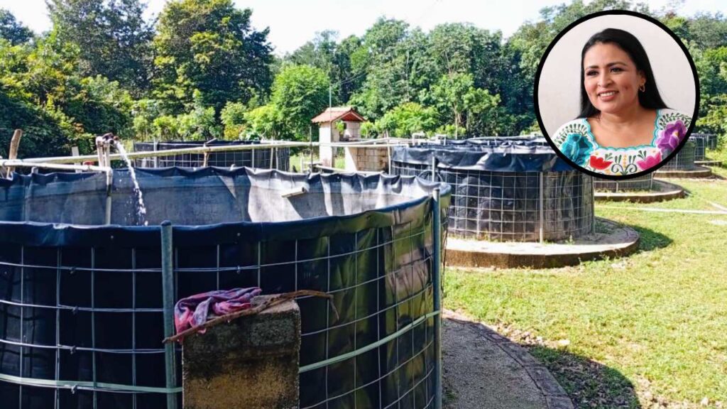 Blanca Merari Tziu Muñoz; acuacultura.