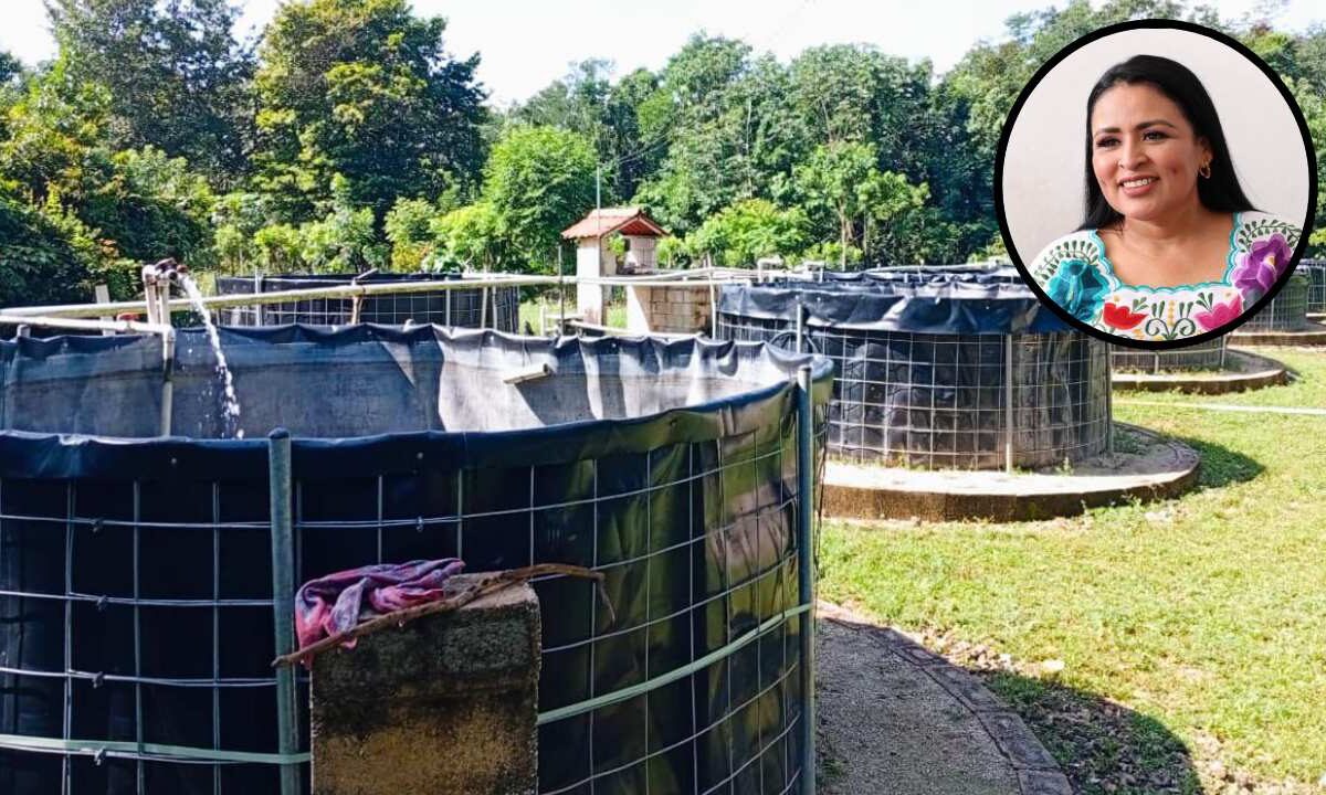 Blanca Merari Tziu Muñoz; acuacultura.