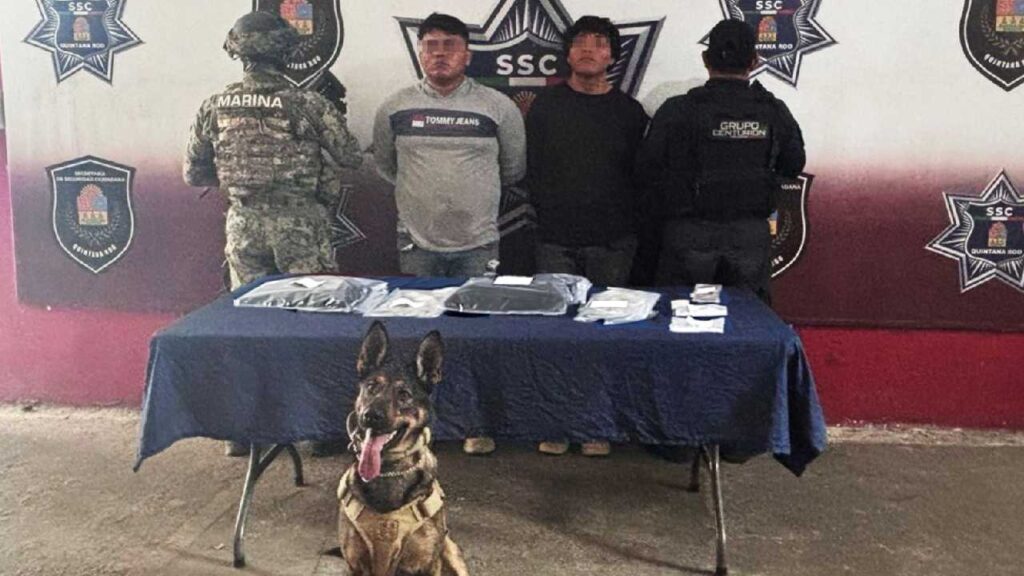 El binonimo canino ayudó a la captura.