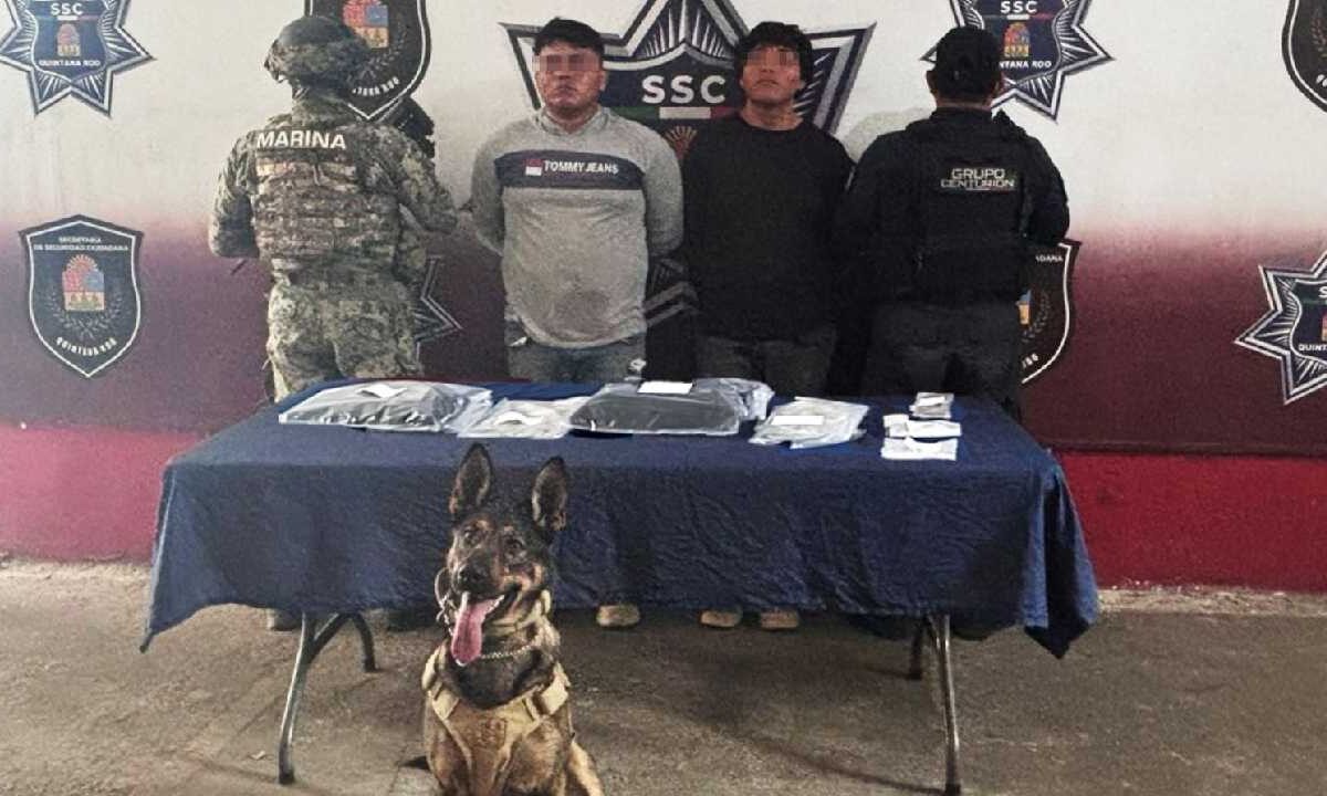 El binonimo canino ayudó a la captura.
