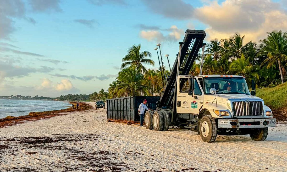 sargazo en Tulum