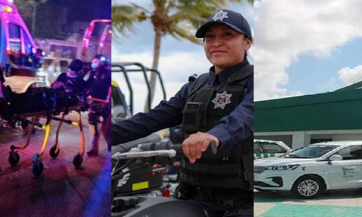 Las últimas noticias.