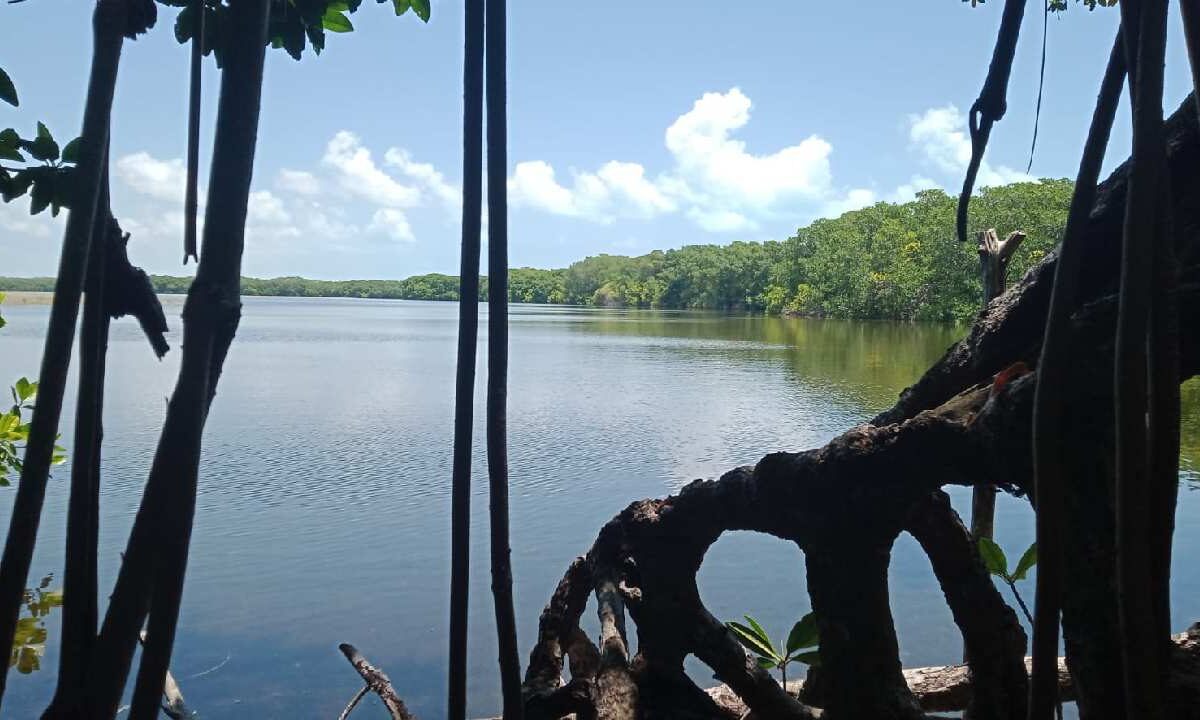 Recursos naturales en Quintana Roo