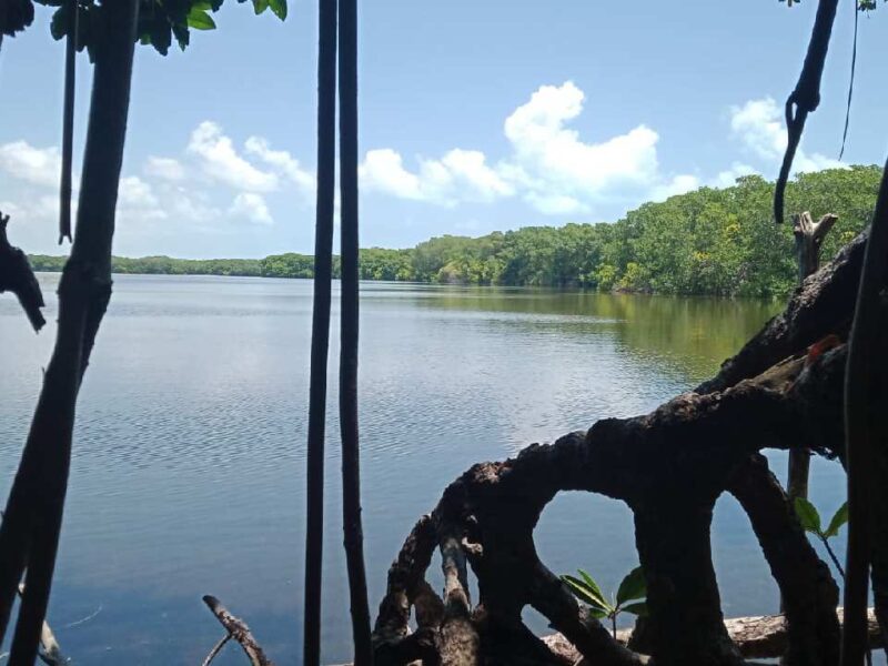 Agenda ambiental en Quintana Roo busca frenar deterioro ecológico y fortalecer leyes