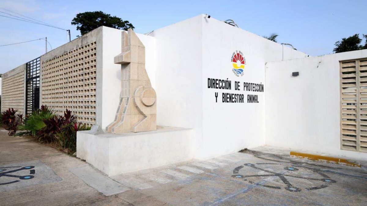 La propuesta busca otorgar personalidad jurídica y patrimonio propio al nuevo instituto.