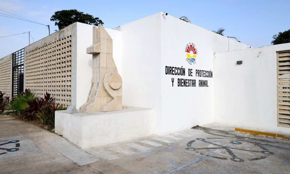 La propuesta busca otorgar personalidad jurídica y patrimonio propio al nuevo instituto.