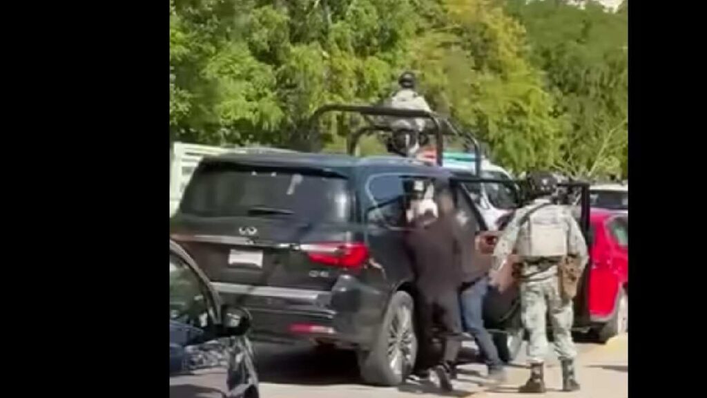 Detienen en Cancún a Eduardo Albor Villanueva, fundador de Dolphin Discovery