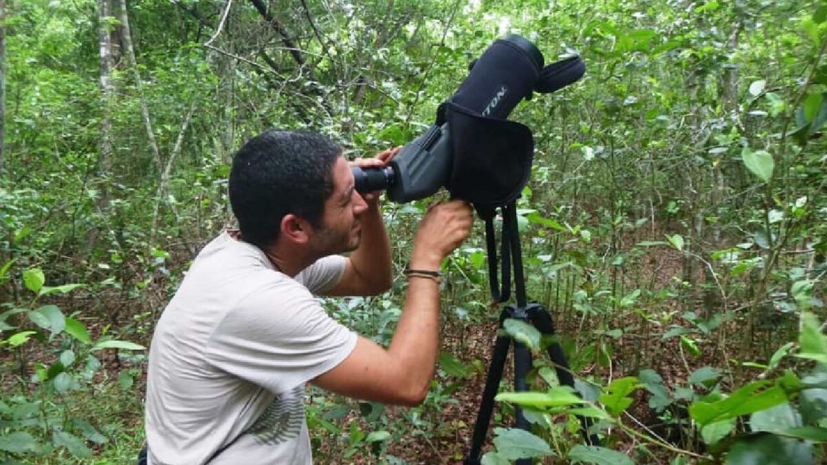 Desde 2006, el crecimiento del segmento supera el mil 500 por ciento