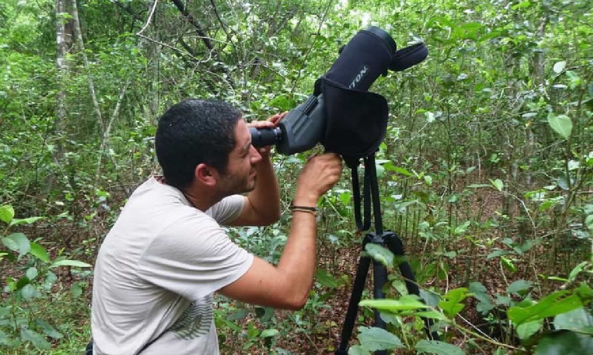 Desde 2006, el crecimiento del segmento supera el mil 500 por ciento
