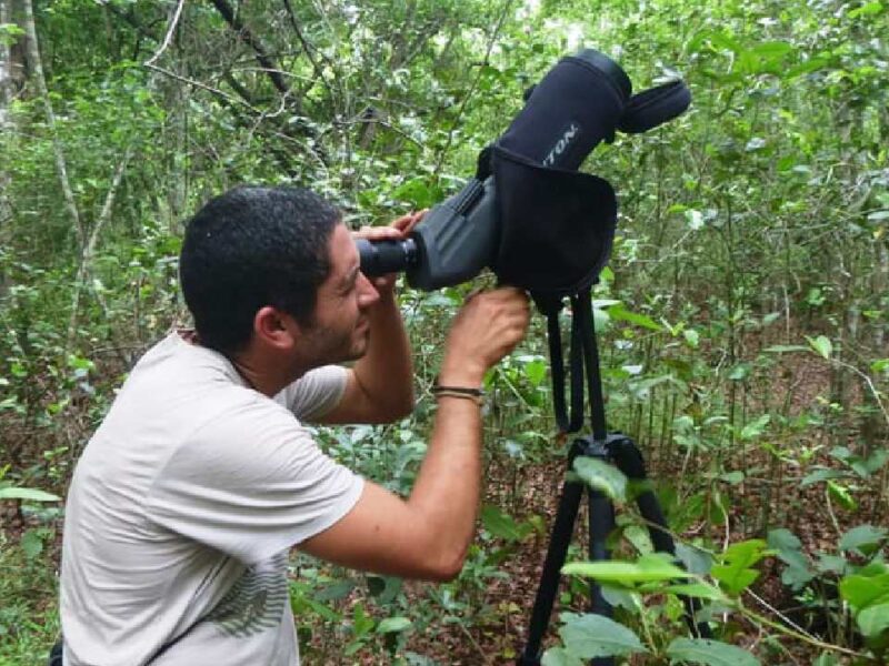 Aviturismo en Maya Ka’an impulsa economía y conservación en Quintana Roo