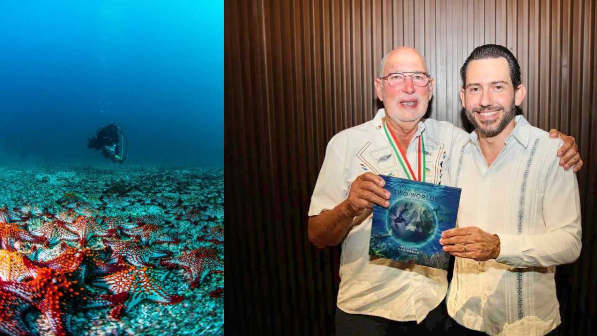 Se prioriza el buceo en la entidad.