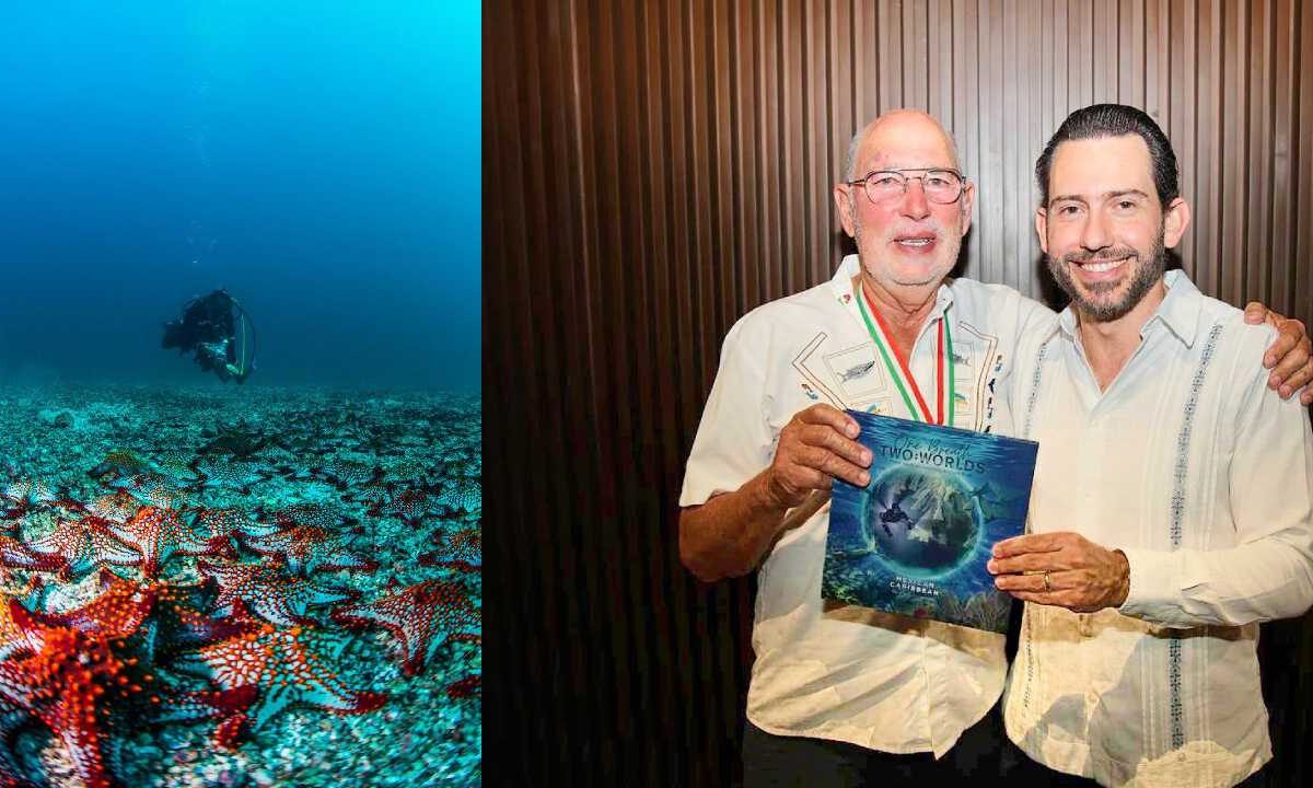 Se prioriza el buceo en la entidad.