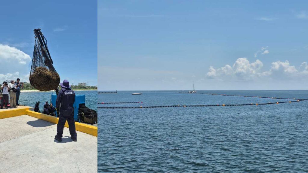 Redoblan acciones en Quintana Roo para contener el arribo anticipado de sargazo en los litorales