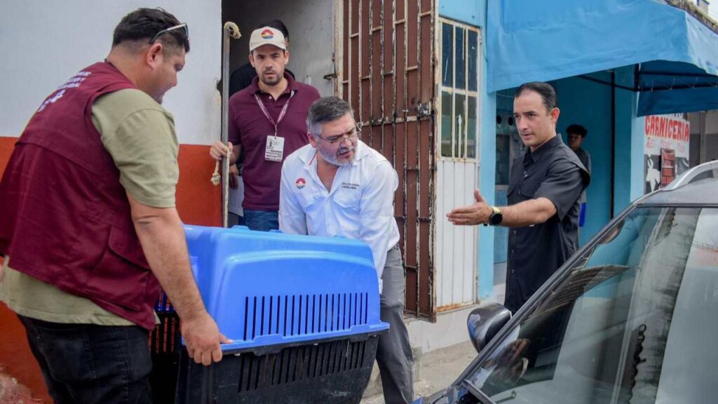 Rescatan a “Rocky”, perro abandonado en azotea de la Supermanzana 223 en Cancún