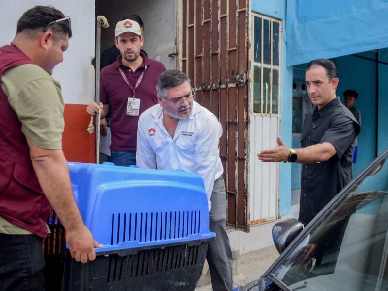 Rescatan a “Rocky”, perro abandonado en azotea de la Supermanzana 223 en Cancún
