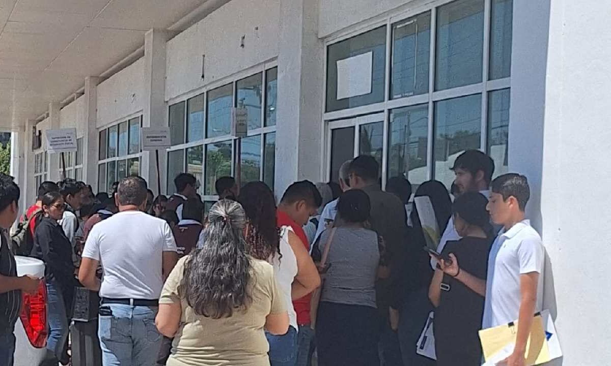 Hasta 800 contribuyentes solicitan a diario en Cancún la Constancia de Situación Fiscal.