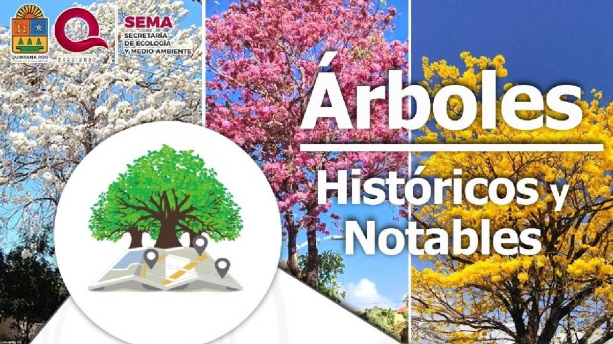 Se buscan árboles históricos.