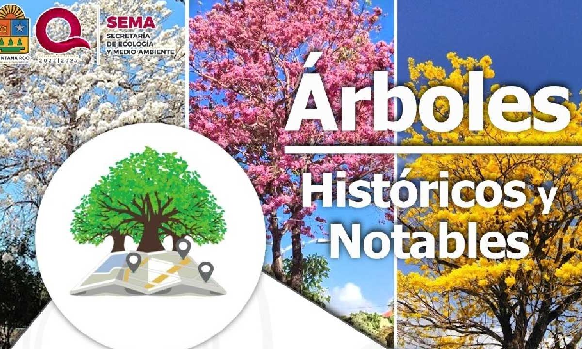 Se buscan árboles históricos.