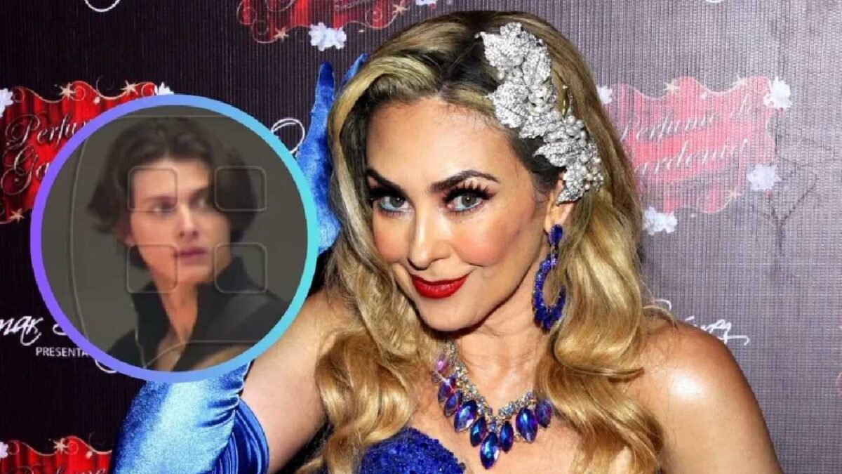 Difunden imágenes de hijo de Aracely Arámbula y Luis Miguel.
