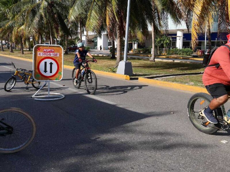 Así vivieron cientos de personas el Paseo Cancunense este domingo. Deporte y convivencia en un día