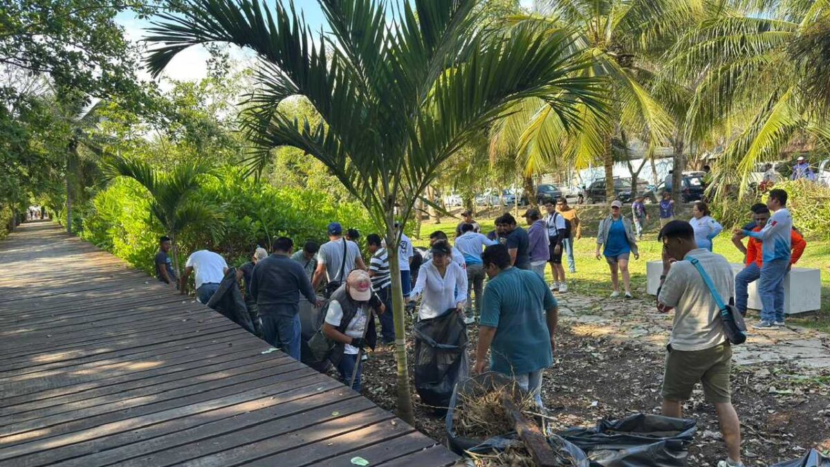 Bacalar refuerza acciones para frenar especie invasora en la Laguna y proteger su ecosistema
