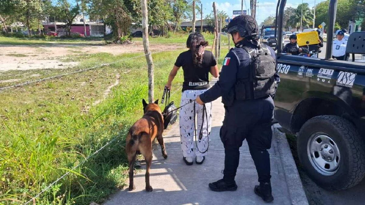 Cae una menor de edad en el Día de la Mujer por delitos contra la salud en Othón P. Blanco