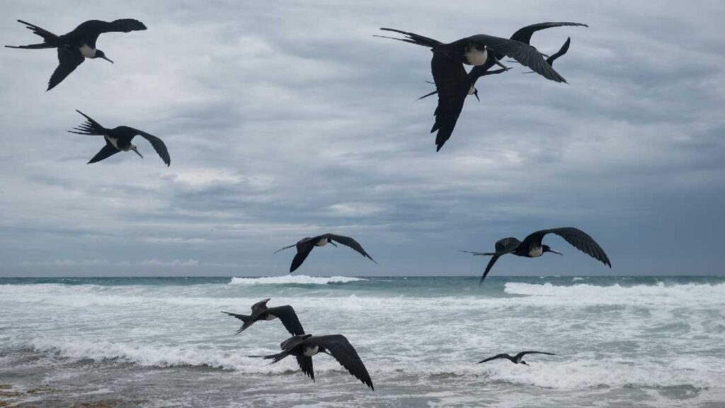 Clima en Quintana Roo: cielo nublado, lluvias y fuertes vientos para hoy; se desplaza frente frío 38
