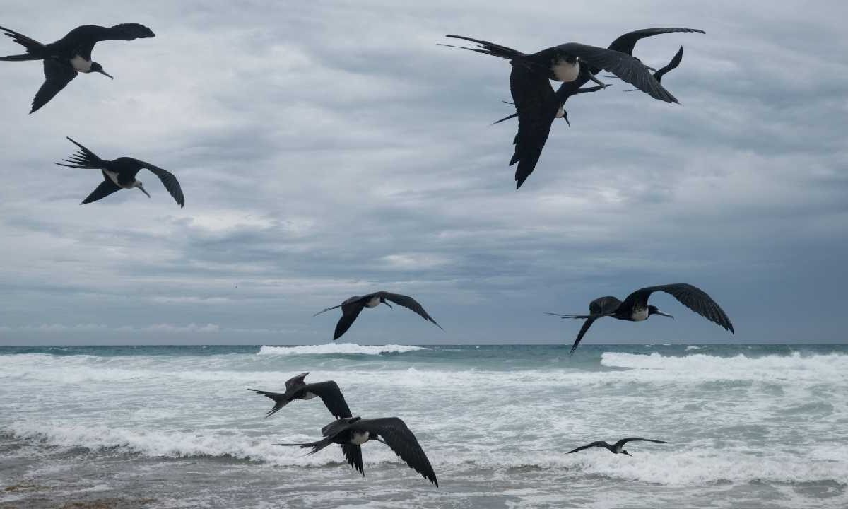 Desplazamiento del frente frío 38.