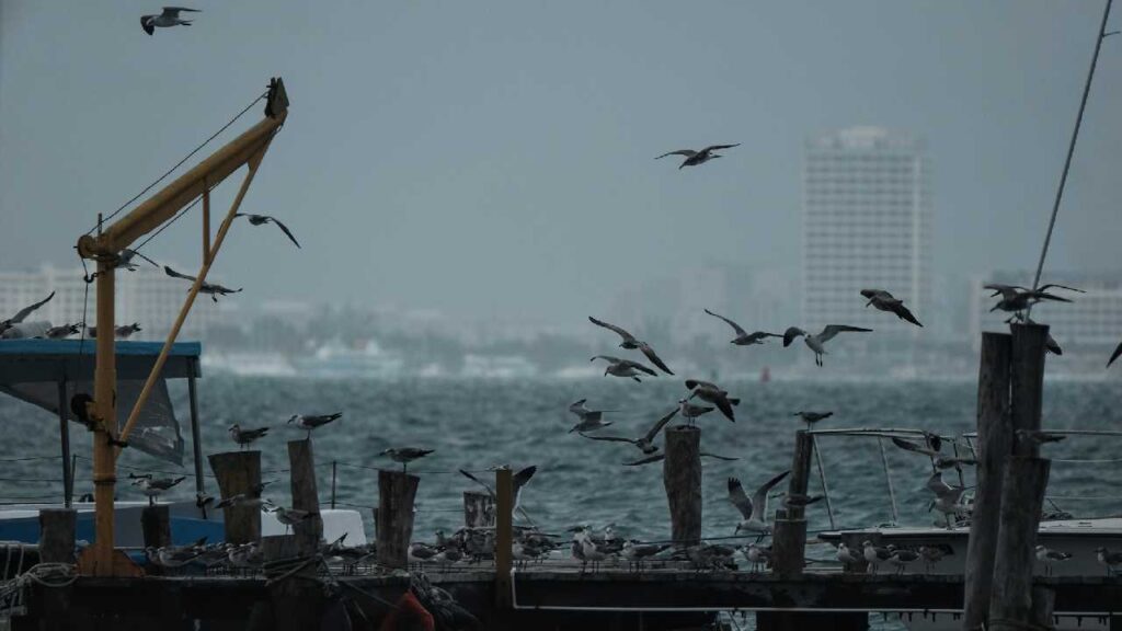 Clima en Quintana Roo: frente frío 40 sobre la península; se prevén más lluvias y nublados