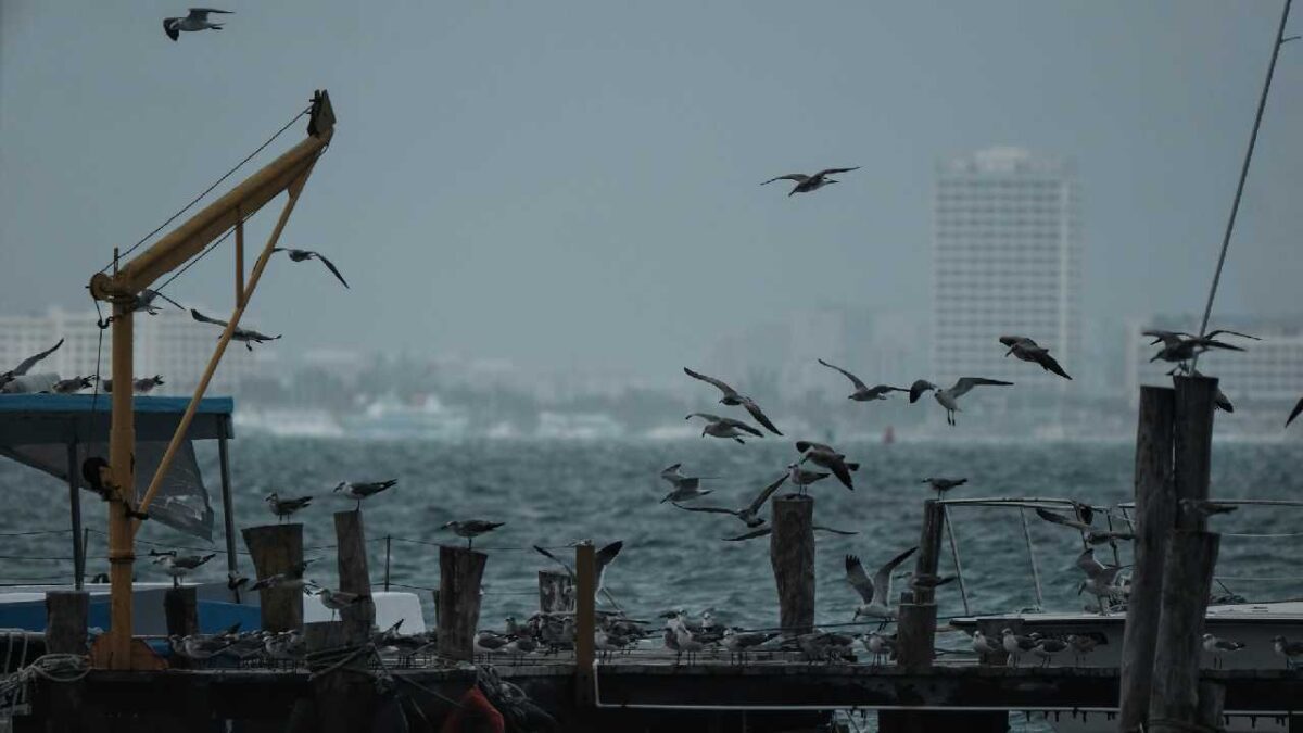 El frente frío 40 se mantendrá estacionario.
