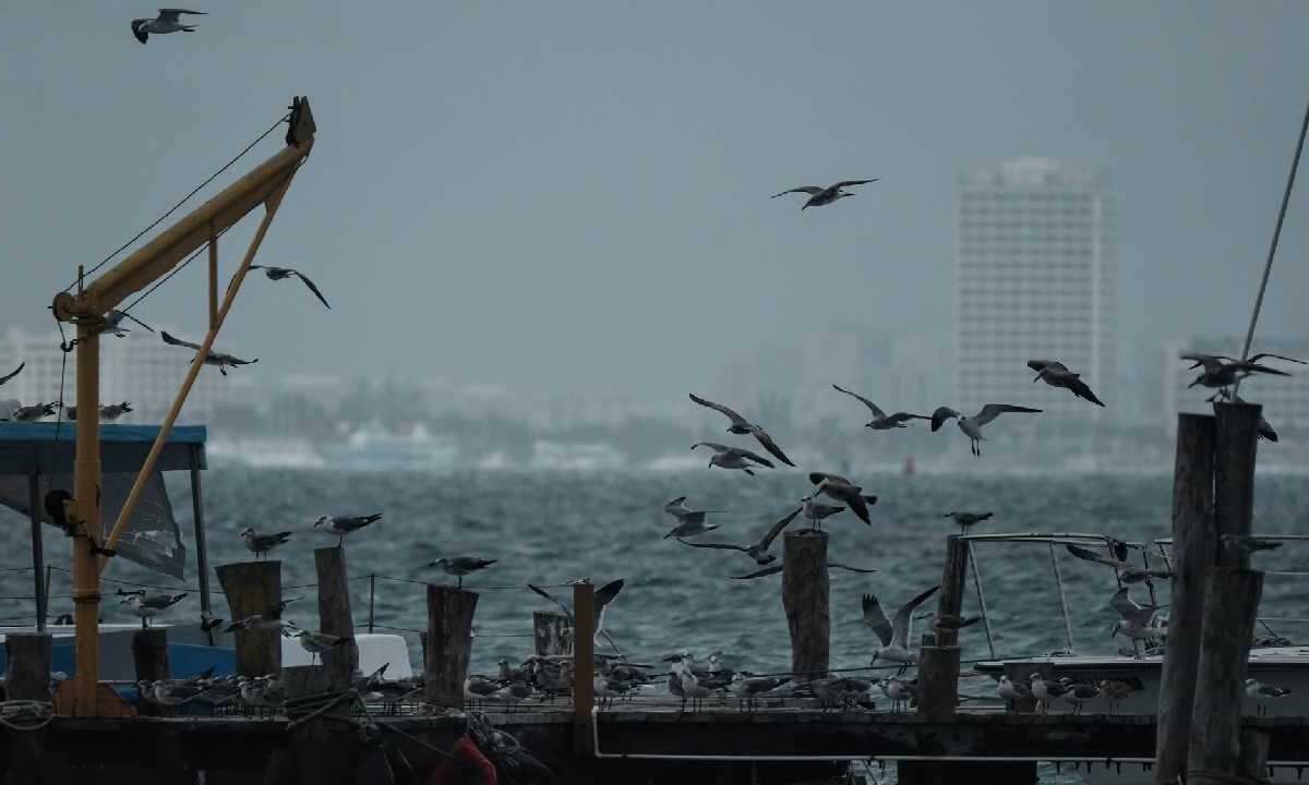 El frente frío 40 se mantendrá estacionario.